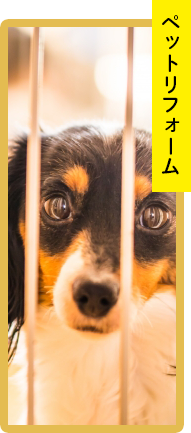 ペットリフォーム